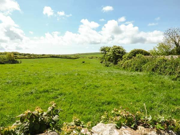 Foxglove Cottage Haverfordwest Dış mekan fotoğraf